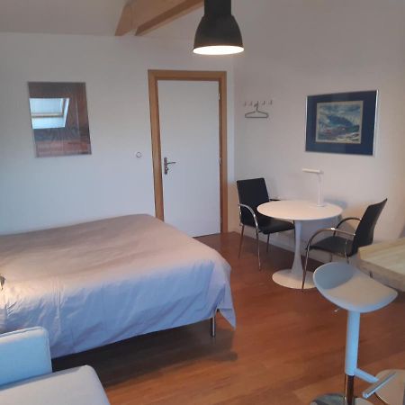 Loft Studio Avec Charme Et Authenticite Altkirch Eksteriør billede