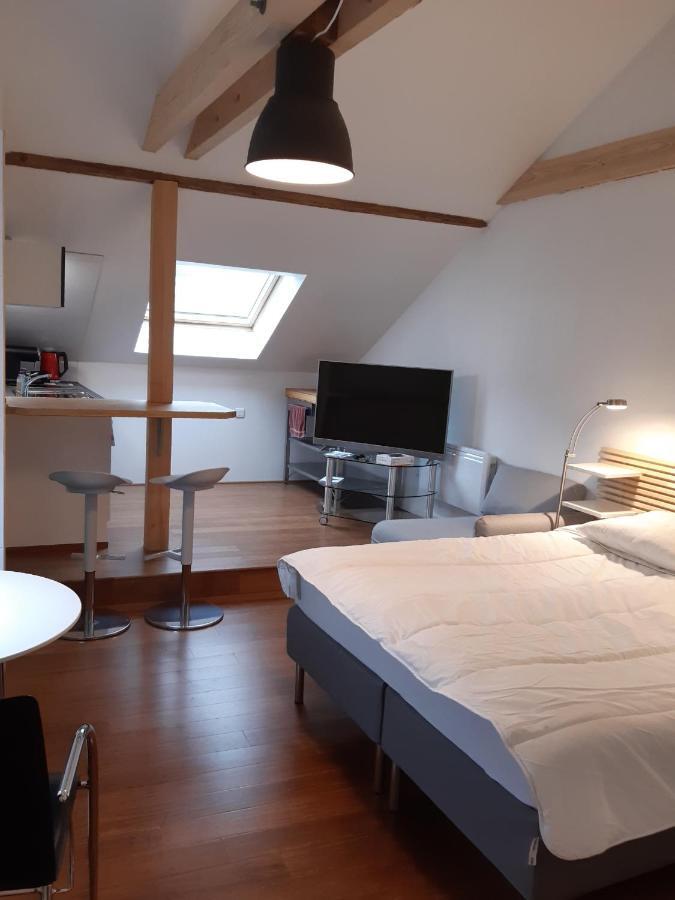 Loft Studio Avec Charme Et Authenticite Altkirch Eksteriør billede